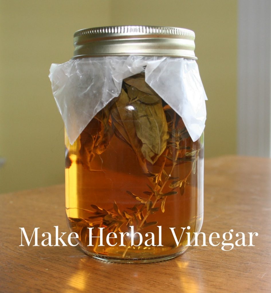 Find out how to Make Natural Vinegar